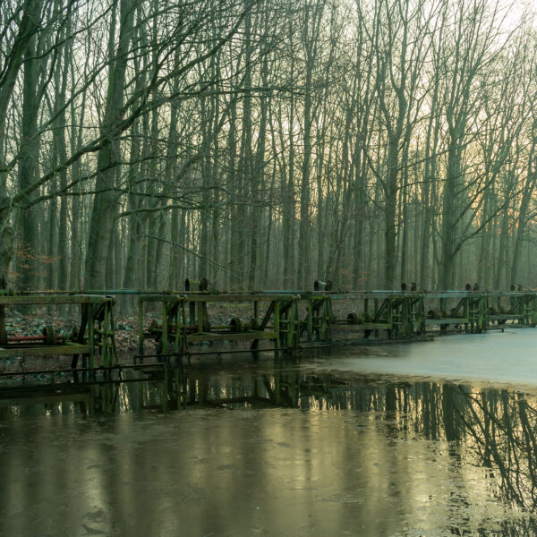 Landschap3
